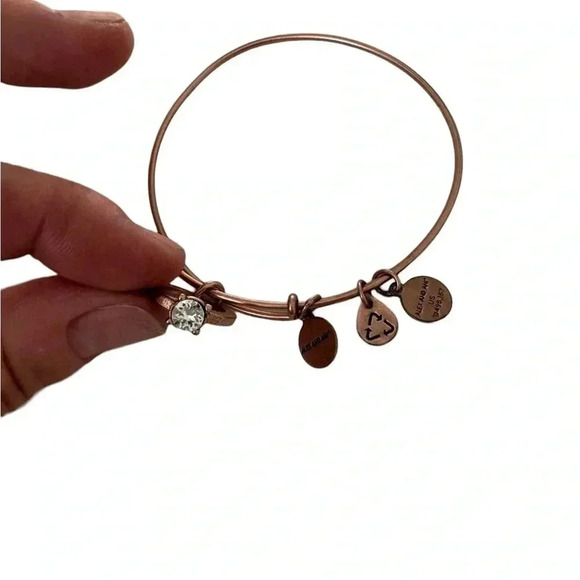 Alex and Ani Women's Just Engaged Bangle Bracelet, Rafaelian Antique Rose - Picture 4 of 4